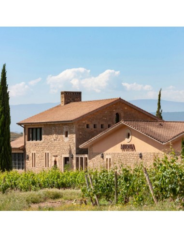 Coleccionist tour Bodegas Murua