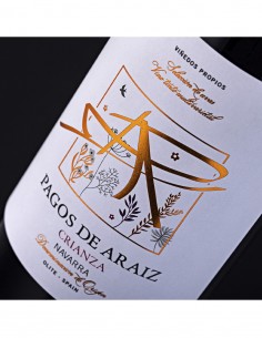 Pagos de Araiz Crianza 2021 2