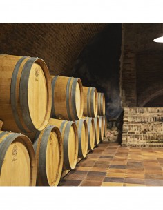 Visita Bodegas Leda 2